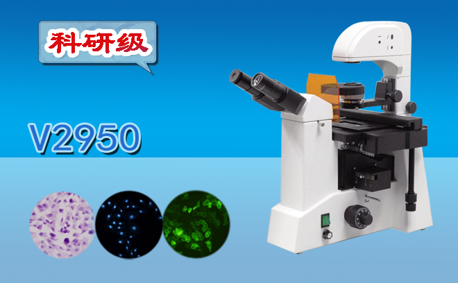 熒光香蕉视频91色版的特點與使用注意事項